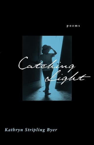 Cover image for Catching light