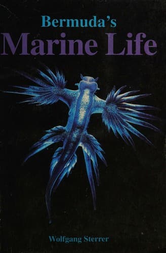 Cover image for Bermuda's Marine Life