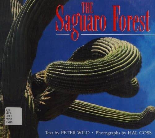 Cover image for The saguaro forest