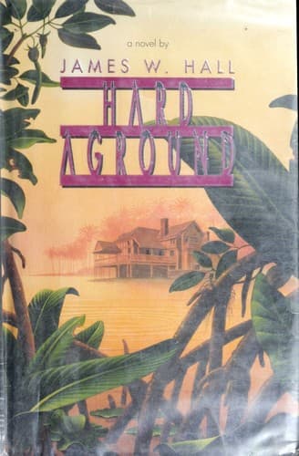 Cover image for Hard aground