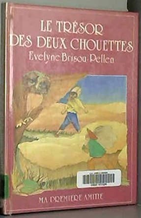 Cover image for Le Trésor des deux chouettes