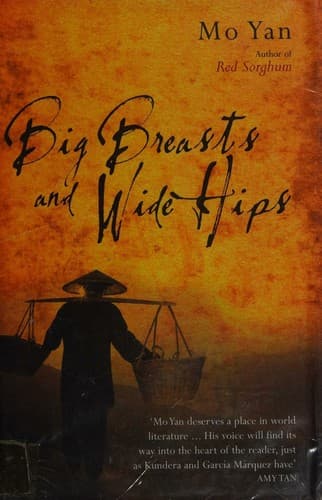 Cover image for Big Breasts and Wide Hips