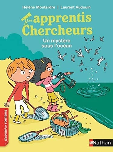 Cover image for Un mystère sous l'océan