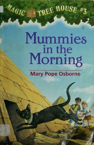 Cover image for Mummies in the Morning