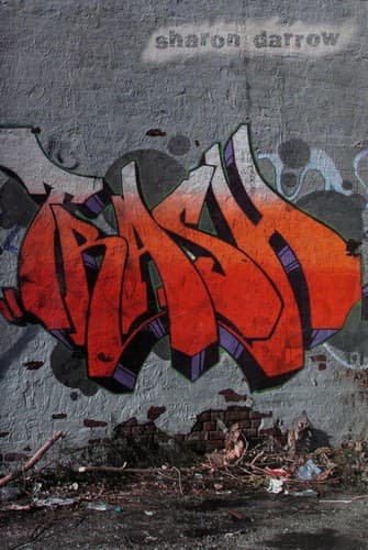 Cover image for Trash