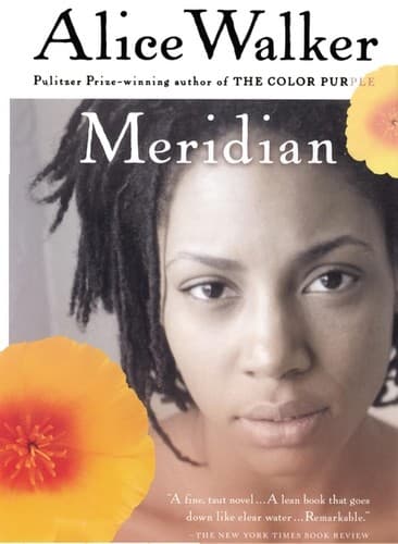 Cover image for Meridian