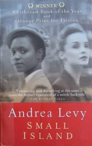 Cover image for Small island