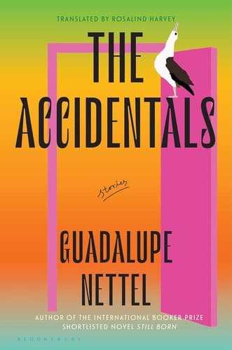Cover image for The Accidentals