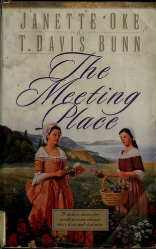 Cover image for The meeting place