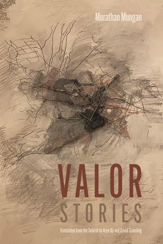 Cover image for Valor