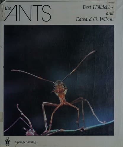 Cover image for The ants