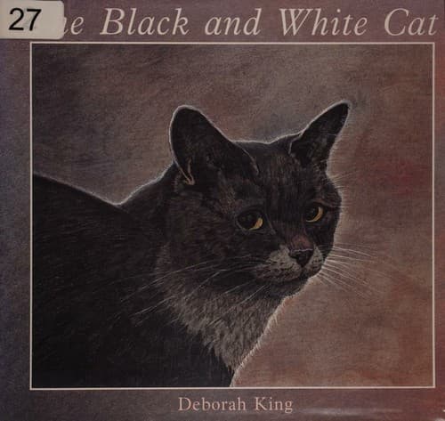 Cover image for The black and white cat