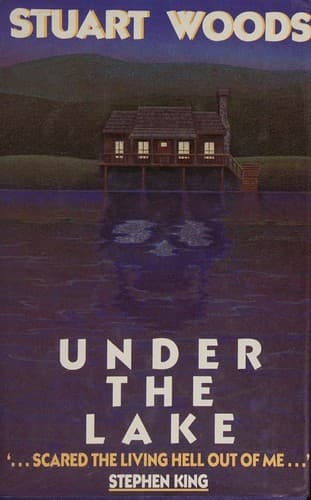 Cover image for Under the lake