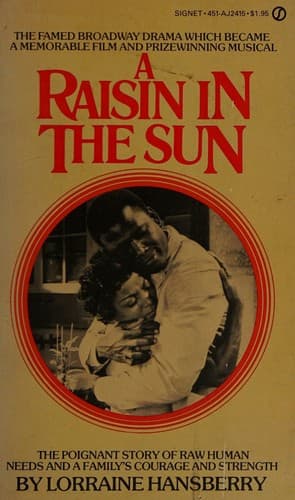 Cover image for A raisin in the sun