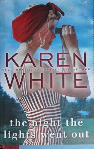 Cover image for The night the lights went out