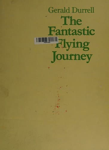 Cover image for The fantastic flying journey