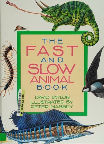 Cover image for Fast and Slow Animal Book