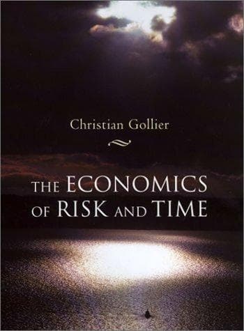Cover image for The Economics of Risk and Time