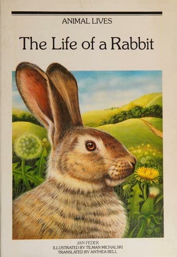 Cover image for The life of a rabbit