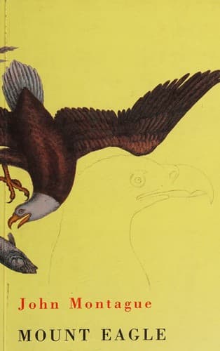 Cover image for Mount eagle