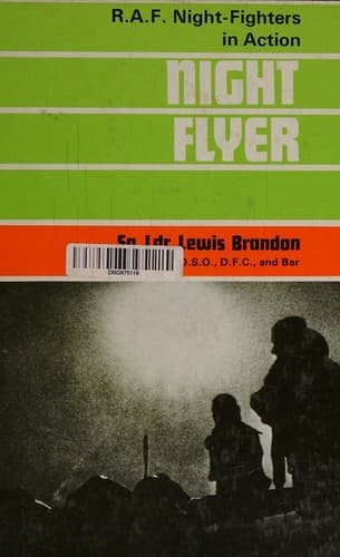 Cover image for Night flyer.
