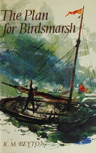 Cover image for Plan for Birdsmarsh.