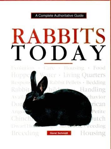 Cover image for Rabbits Today