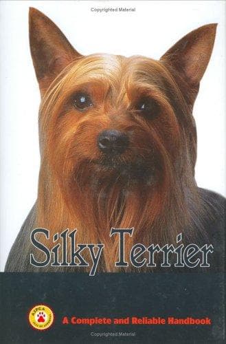 Silky terrier