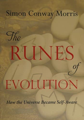 Cover image for The runes of evolution