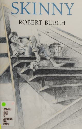 Cover image for Skinny