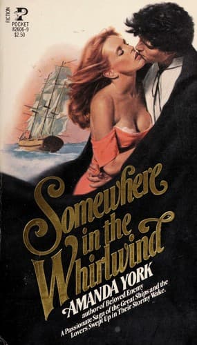 Cover image for Somewhere in the whirlwind