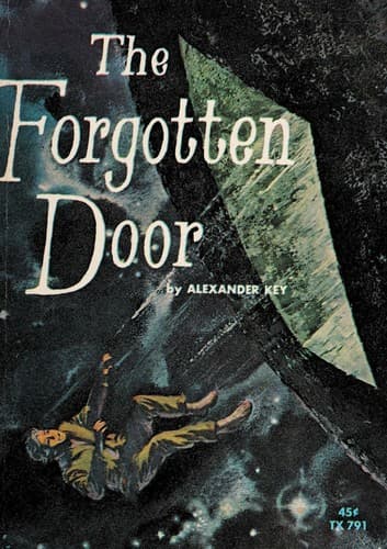 Cover image for The forgotten door