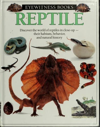 Cover image for Reptile