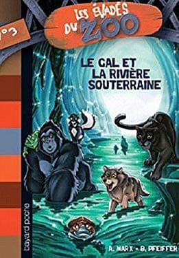 Cover image for Le GAL et la rivière souterraine