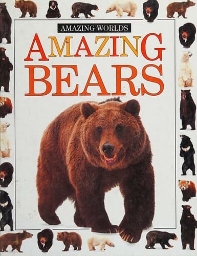 Cover image for Amazing bears