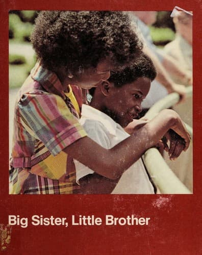 Cover image for Big sister, little brother