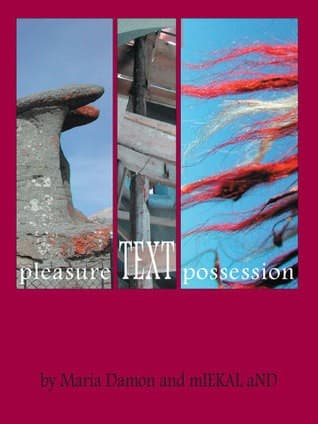 Cover image for PleasureTEXTpossession
