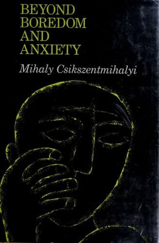Cover image for Beyond boredom and anxiety
