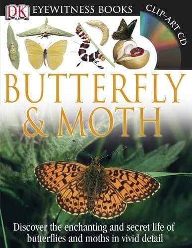 Cover image for Butterfly and Moth (Eyewitness Books)
