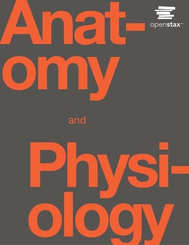 Cover image for Anatomy and Physiology