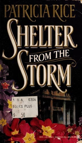Cover image for Shelter from the Storm