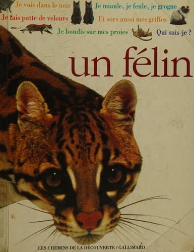 Cover image for QUI SUIS-JE UN FELIN