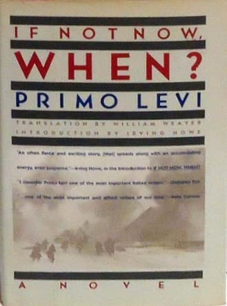 Cover image for If Not Now, When?