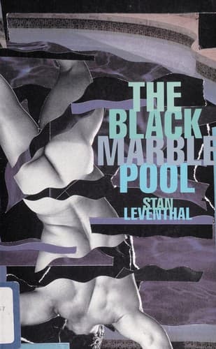 Cover image for The black marble pool