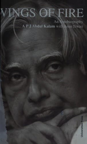 Cover image for Wings of fire
