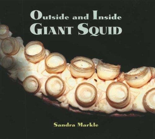 Cover image for Outside and Inside Giant Squid