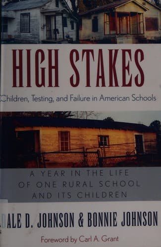 Cover image for High stakes