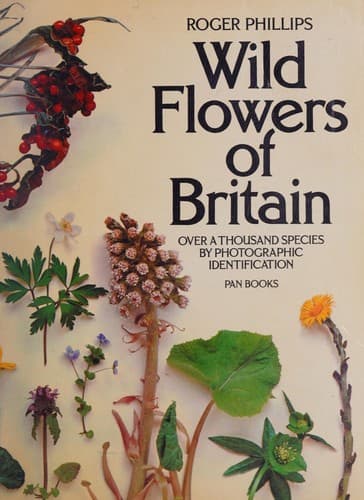 Cover image for Wild flowers of Britain