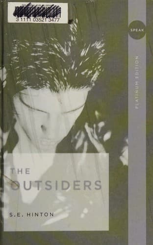 Cover image for The Outsiders