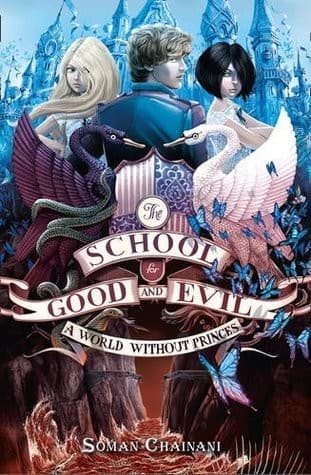 Cover image for A World Without Princes